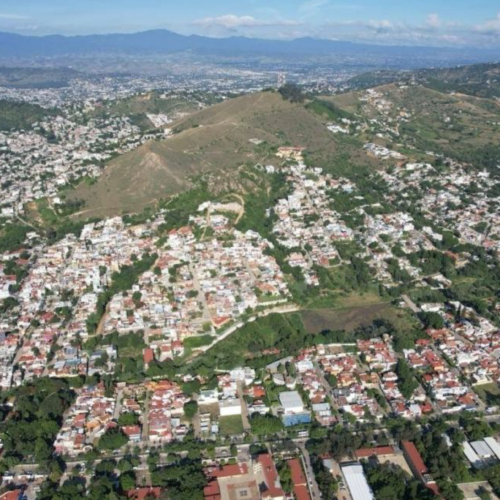 Urge Observatorio del Agua frenar ecocidio de 60 mil has en cordillera norte de los Valles Centrales de Oaxaca